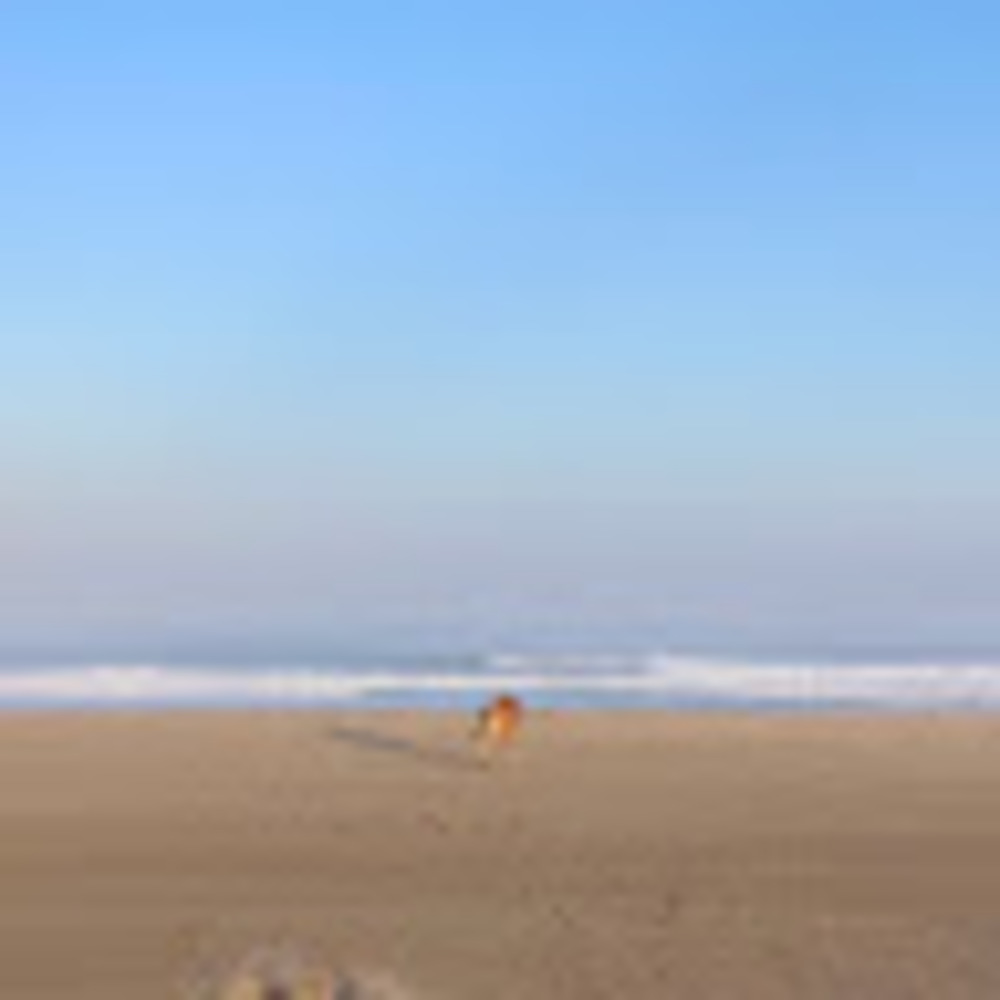 Meet your Posher, Abbie